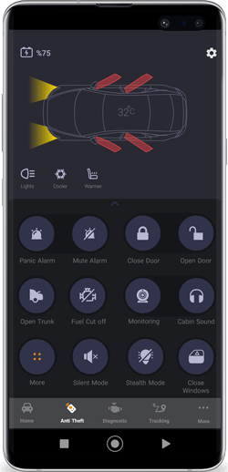 Anti-Theft Mobile Interface
